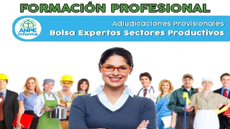 fp_bolsa_expertos_sectores_productivos_adjudicacio